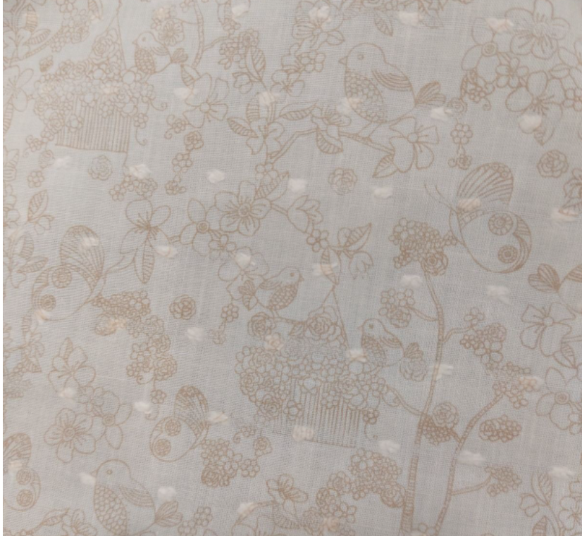 En este momento estás viendo Plumeti