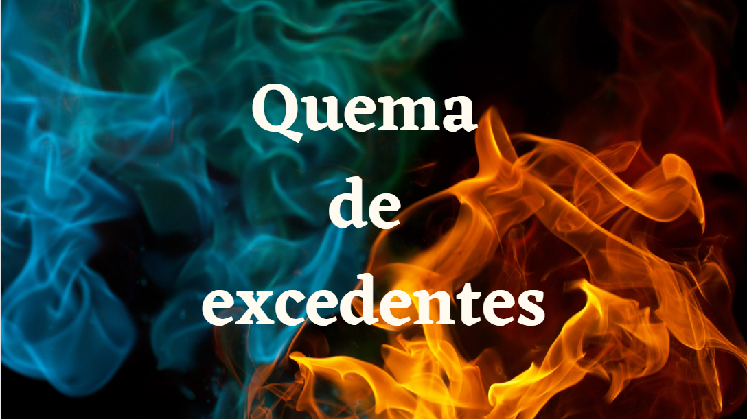 En este momento estás viendo Quema de excedentes de grandes marcas