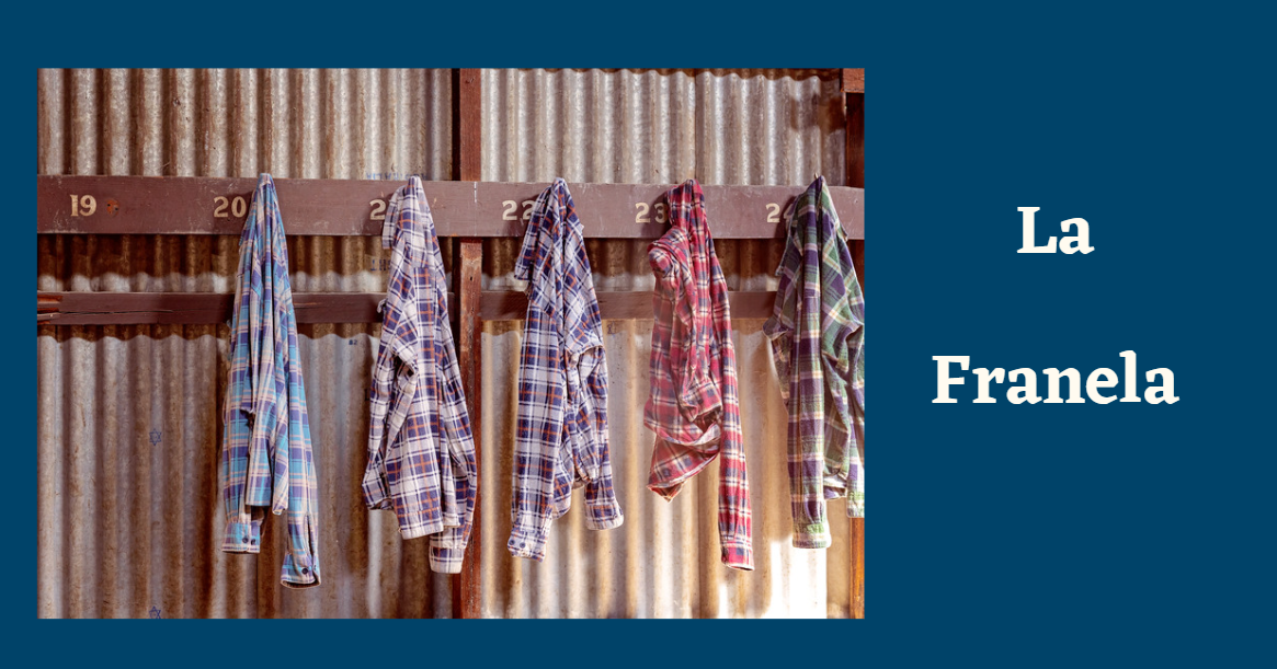 En este momento estás viendo La franela
