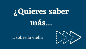 Lee más sobre el artículo La viella,villela o viyela, tres nombres para un tejido
