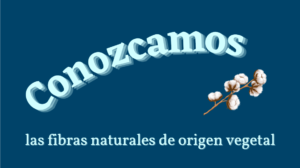 Lee más sobre el artículo Las fibras naturales de origen vegetal
